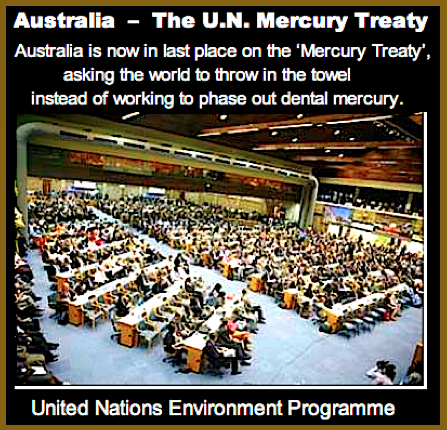 UN Mercury Treaty ff