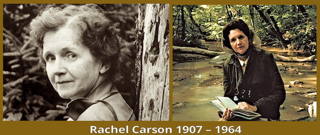 Rachel Carson 1907-1964