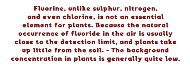 f-plants-soil-f