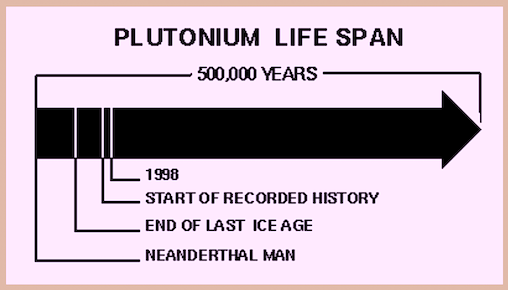 plutonium-life-span