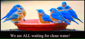 we-are-all-waiting-for-clean-water