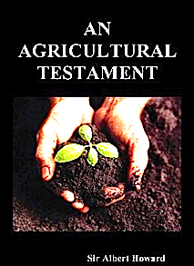 An Agricultural Testament-image