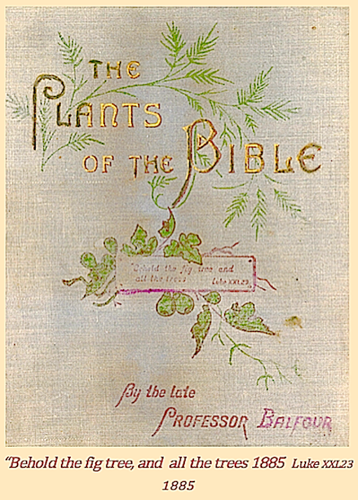 front-cover-plants-of-the-bible