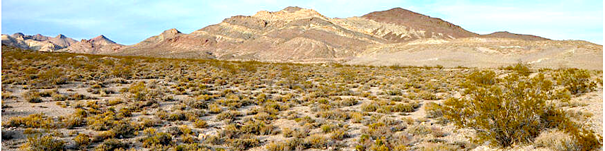 Nevada-desert-m