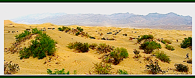 Perchlorate-Abundant-in-Desert