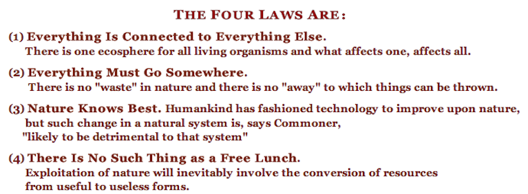 The-Four-Laws