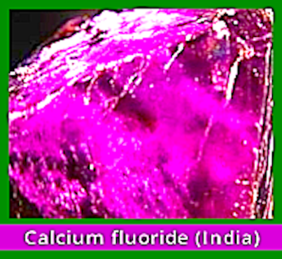 image-Calcium-F.-India