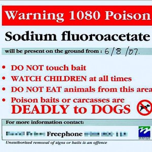f-1080-poison