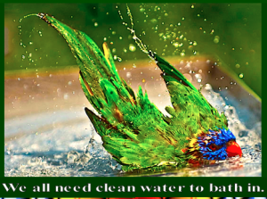 We all need clean water image