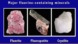 major-f-minerals