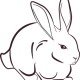 rabbit-1012595__340