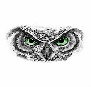 owl-face