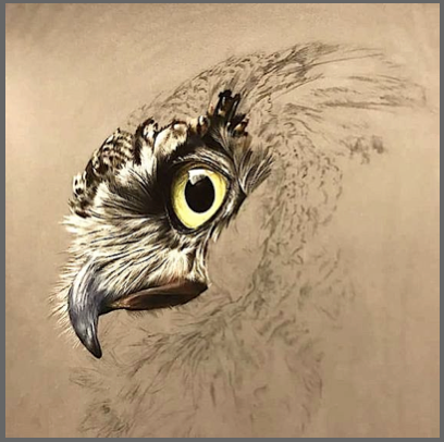 owls-head-drawing-f